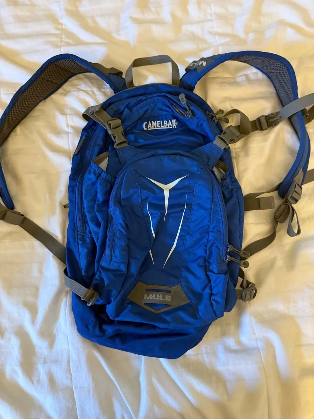 CamelBak Royal Blue Mule Hydration Backpack for Men